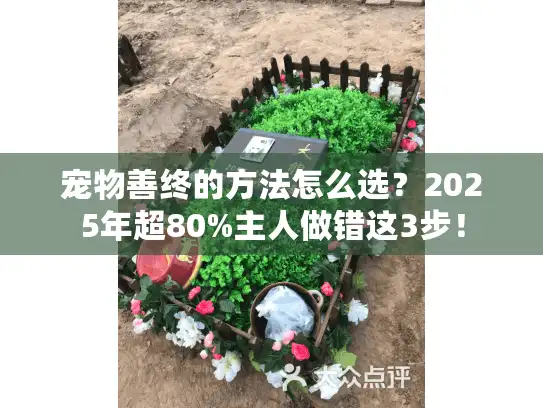 宠物善终的方法怎么选？2025年超80%主人做错这3步！