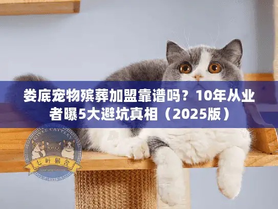 娄底宠物殡葬加盟靠谱吗？10年从业者曝5大避坑真相（2025版）