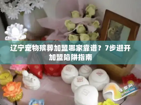 辽宁宠物殡葬加盟哪家靠谱？7步避开加盟陷阱指南