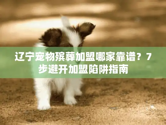 辽宁宠物殡葬加盟哪家靠谱？7步避开加盟陷阱指南