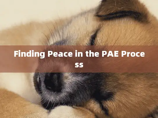 Finding Peace in the PAE Process