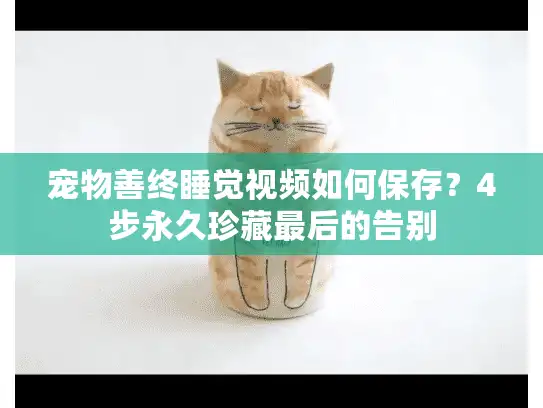 宠物善终睡觉视频如何保存？4步永久珍藏最后的告别