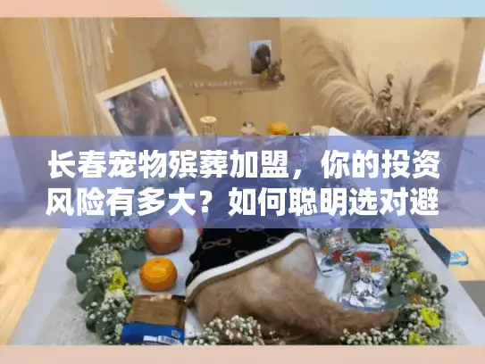 长春宠物殡葬加盟，你的投资风险有多大？如何聪明选对避坑！