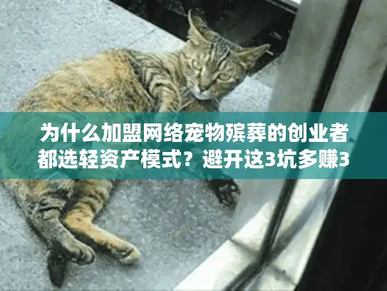 为什么加盟网络宠物殡葬的创业者都选轻资产模式？避开这3坑多赚30万