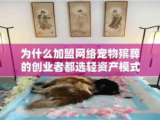 为什么加盟网络宠物殡葬的创业者都选轻资产模式？避开这3坑多赚30万