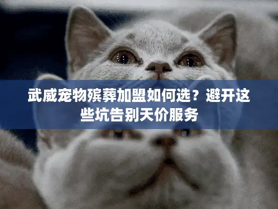 武威宠物殡葬加盟如何选？避开这些坑告别天价服务