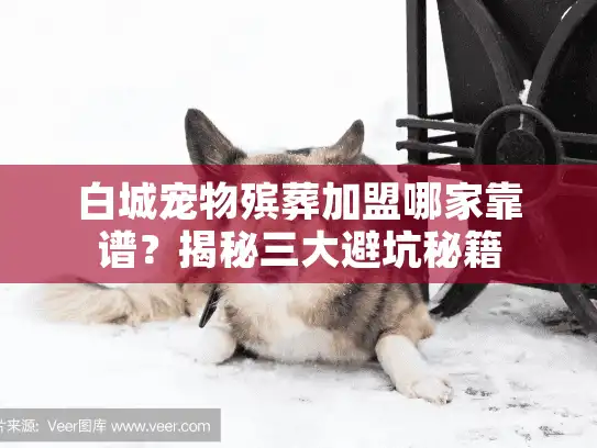 白城宠物殡葬加盟哪家靠谱？揭秘三大避坑秘籍