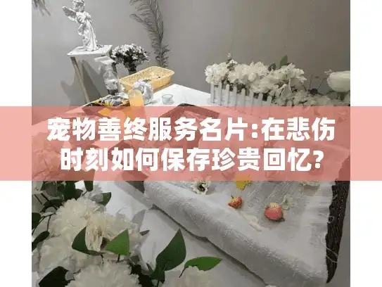 宠物善终服务名片:在悲伤时刻如何保存珍贵回忆?
