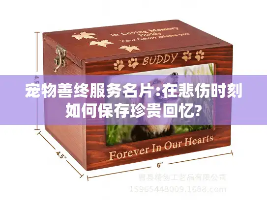 宠物善终服务名片:在悲伤时刻如何保存珍贵回忆?