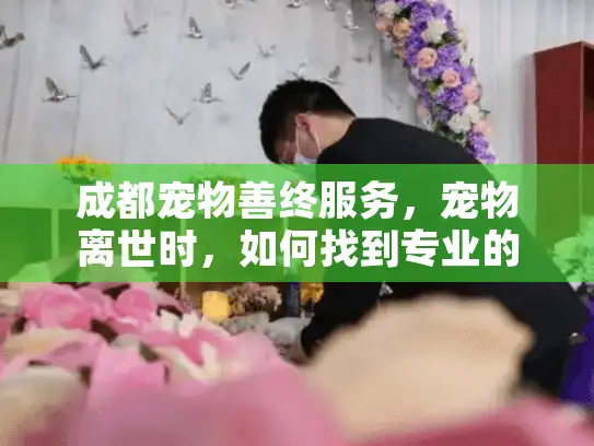 成都宠物善终服务，宠物离世时，如何找到专业的告别方式？