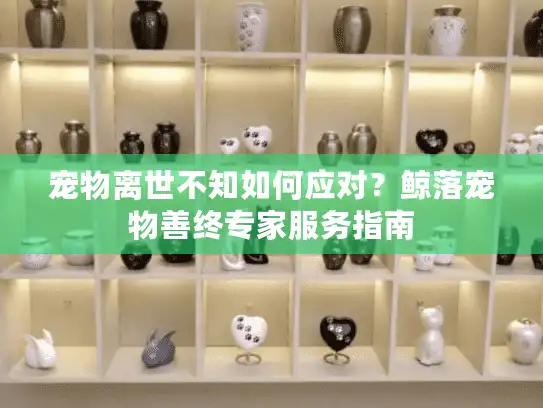 宠物离世不知如何应对？鲸落宠物善终专家服务指南
