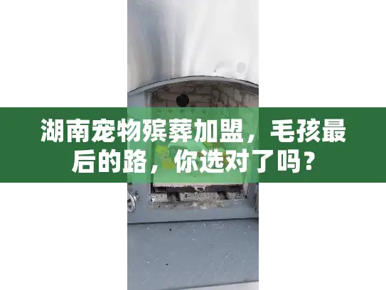 湖南宠物殡葬加盟，毛孩最后的路，你选对了吗？