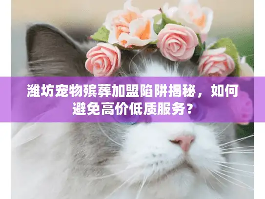 潍坊宠物殡葬加盟陷阱揭秘，如何避免高价低质服务？