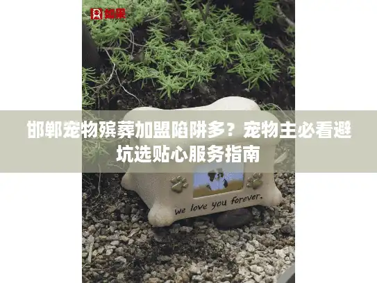 邯郸宠物殡葬加盟陷阱多？宠物主必看避坑选贴心服务指南