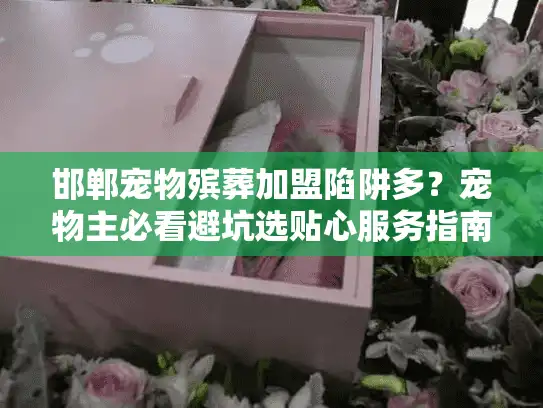 邯郸宠物殡葬加盟陷阱多？宠物主必看避坑选贴心服务指南