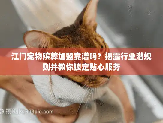 江门宠物殡葬加盟靠谱吗？揭露行业潜规则并教你锁定贴心服务