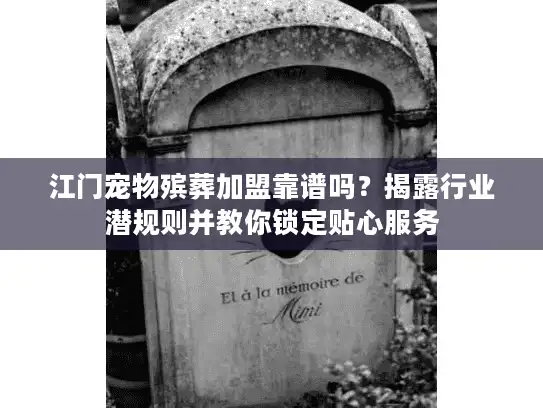 江门宠物殡葬加盟靠谱吗？揭露行业潜规则并教你锁定贴心服务