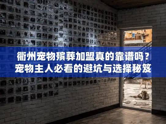 衢州宠物殡葬加盟真的靠谱吗？宠物主人必看的避坑与选择秘笈