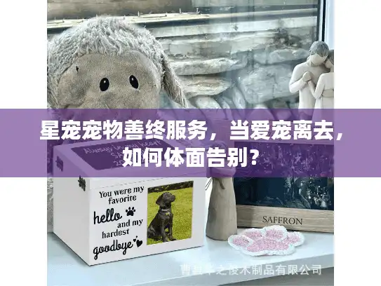 星宠宠物善终服务，当爱宠离去，如何体面告别？