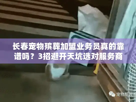 长春宠物殡葬加盟业务员真的靠谱吗？3招避开天坑选对服务商