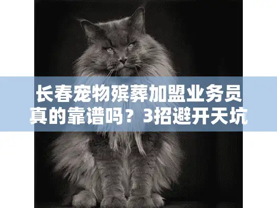 长春宠物殡葬加盟业务员真的靠谱吗？3招避开天坑选对服务商