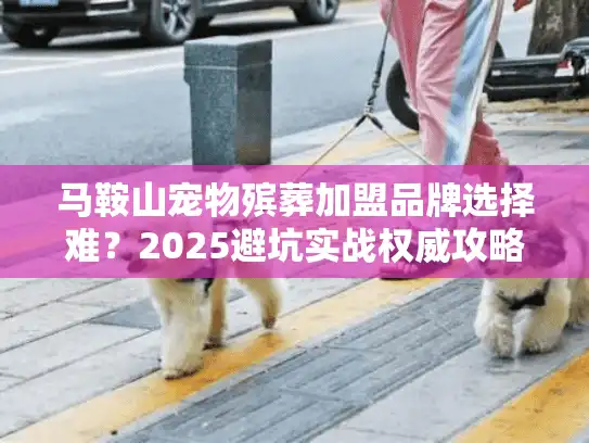 马鞍山宠物殡葬加盟品牌选择难？2025避坑实战权威攻略