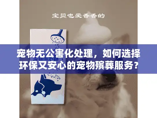 宠物无公害化处理，如何选择环保又安心的宠物殡葬服务？