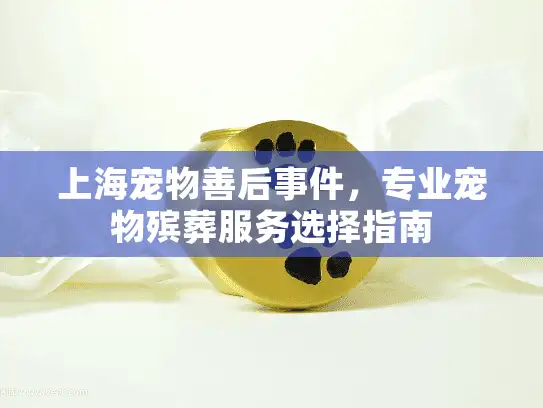上海宠物善后事件，专业宠物殡葬服务选择指南