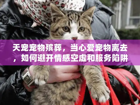 天宠宠物殡葬，当心爱宠物离去，如何避开情感空虚和服务陷阱的深渊？