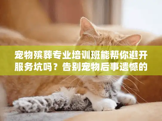 宠物殡葬专业培训班能帮你避开服务坑吗？告别宠物后事遗憾的实用秘诀