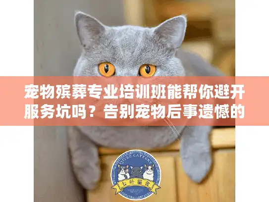 宠物殡葬专业培训班能帮你避开服务坑吗？告别宠物后事遗憾的实用秘诀