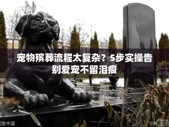宠物殡葬流程太复杂？5步实操告别爱宠不留泪痕