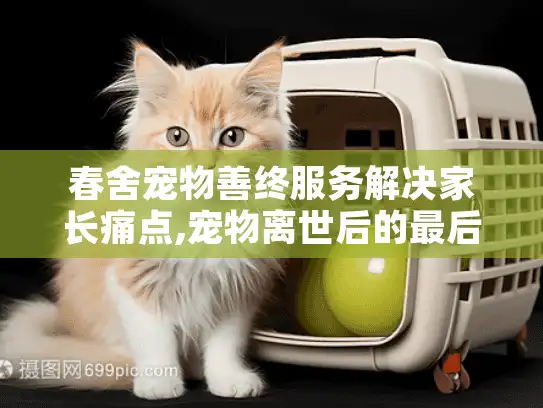 春舍宠物善终服务解决家长痛点,宠物离世后的最后一程如何体面告别?