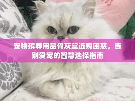 宠物殡葬用品骨灰盒选购困惑，告别爱宠的智慧选择指南