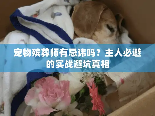 宠物殡葬师有忌讳吗？主人必避的实战避坑真相