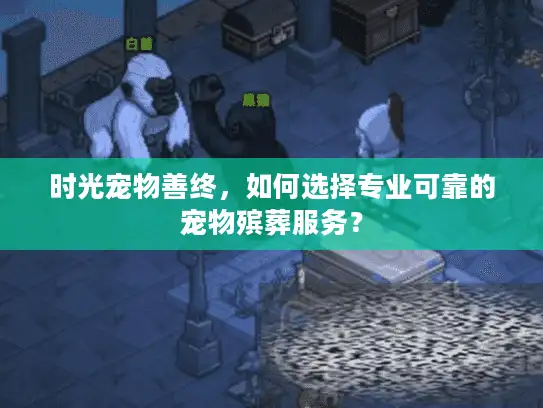 时光宠物善终，如何选择专业可靠的宠物殡葬服务？