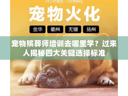 宠物殡葬师培训去哪里学？过来人揭秘四大关键选择标准