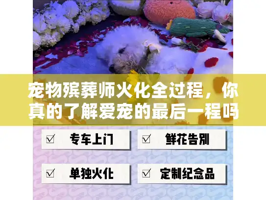 宠物殡葬师火化全过程，你真的了解爱宠的最后一程吗？