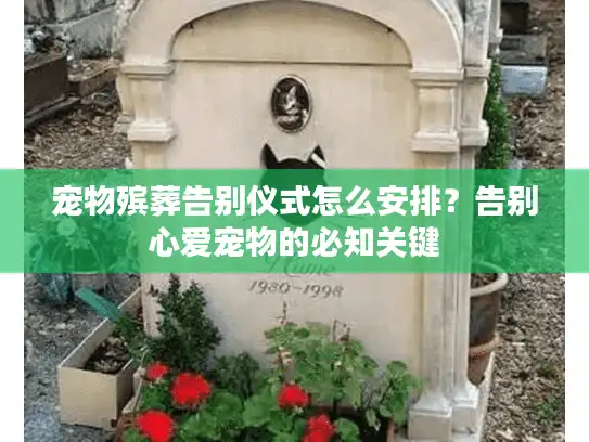宠物殡葬告别仪式怎么安排？告别心爱宠物的必知关键