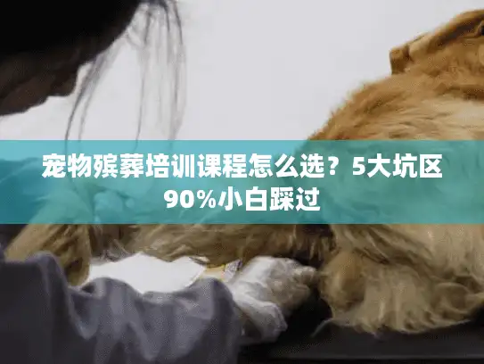 宠物殡葬培训课程怎么选？5大坑区90%小白踩过