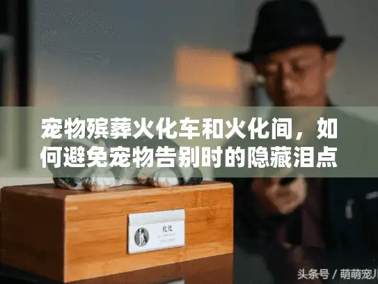 宠物殡葬火化车和火化间，如何避免宠物告别时的隐藏泪点？