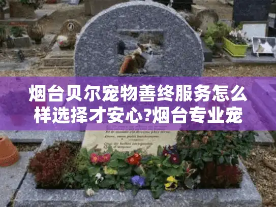 烟台贝尔宠物善终服务怎么样选择才安心?烟台专业宠物葬礼指南