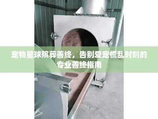 宠物星球殡葬善终，告别爱宠慌乱时刻的专业善终指南