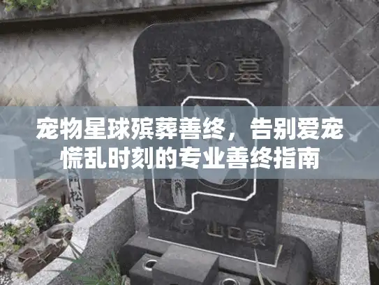 宠物星球殡葬善终，告别爱宠慌乱时刻的专业善终指南