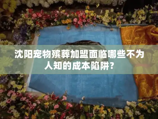 沈阳宠物殡葬加盟面临哪些不为人知的成本陷阱？