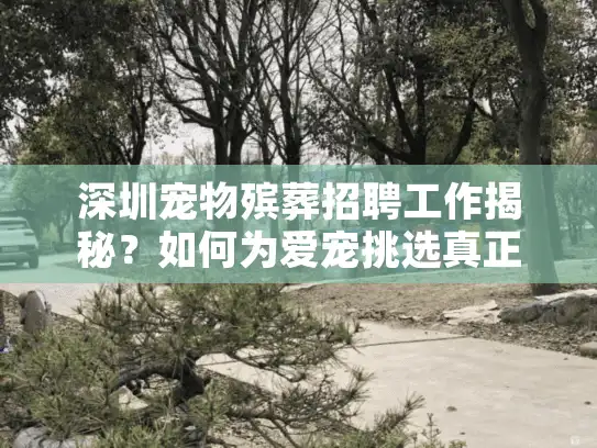 深圳宠物殡葬招聘工作揭秘？如何为爱宠挑选真正关怀的专业告别服务