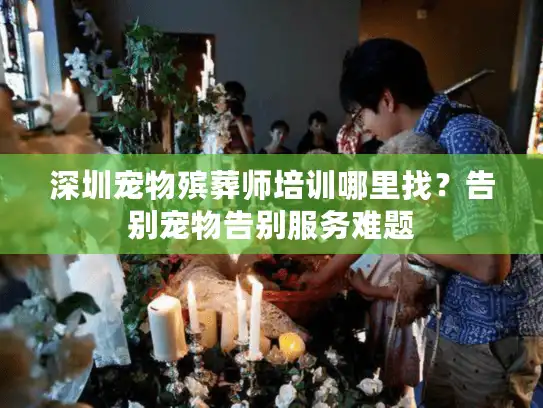 深圳宠物殡葬师培训哪里找？告别宠物告别服务难题
