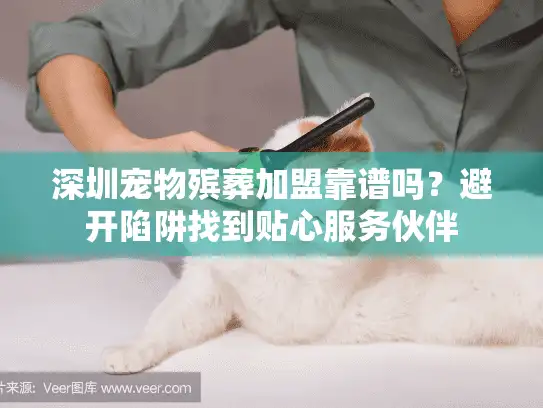 深圳宠物殡葬加盟靠谱吗？避开陷阱找到贴心服务伙伴