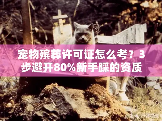宠物殡葬许可证怎么考？3步避开80%新手踩的资质雷区