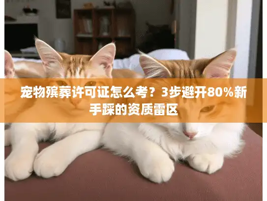 宠物殡葬许可证怎么考？3步避开80%新手踩的资质雷区